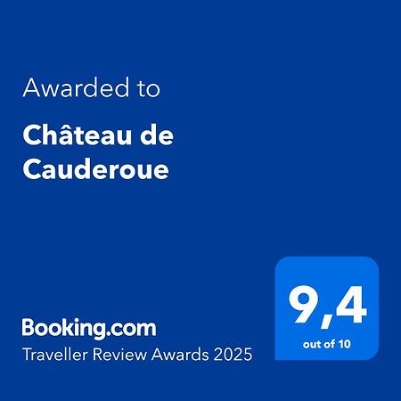 Château de Cauderoue Nérac Exterior foto