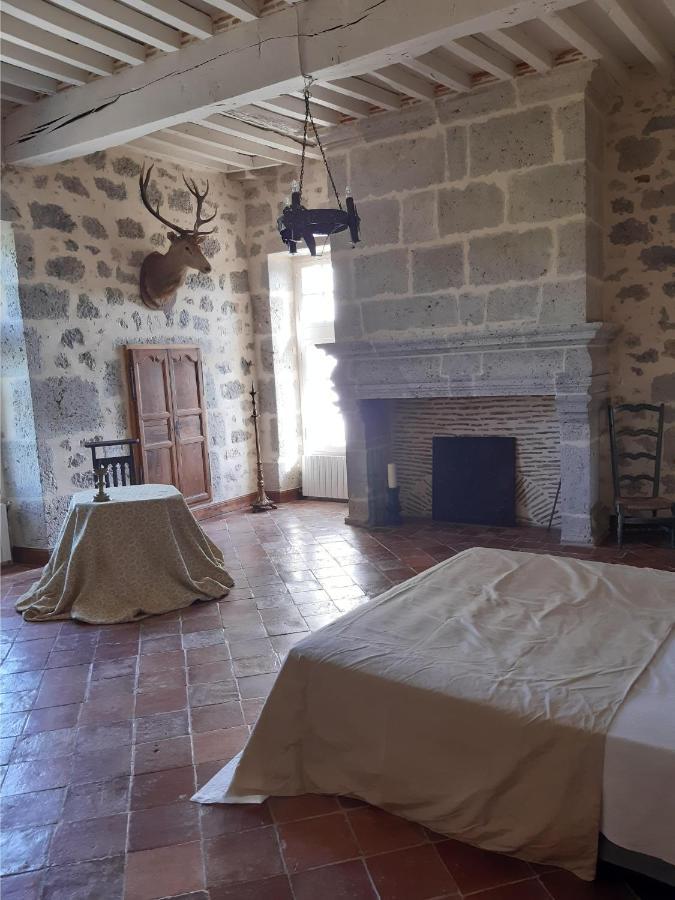Château de Cauderoue Nérac Exterior foto