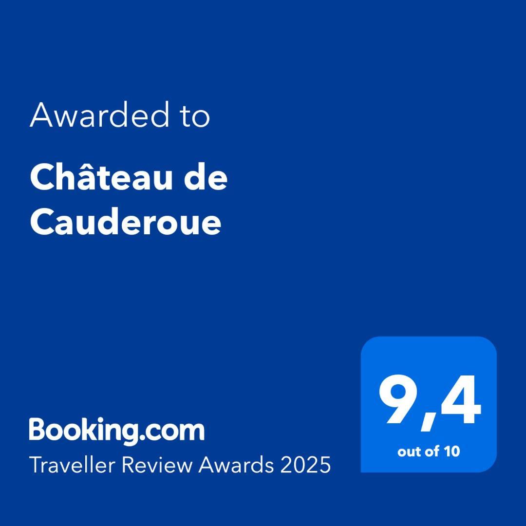 Château de Cauderoue Nérac Exterior foto